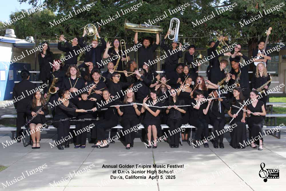 Musical Images